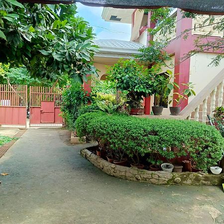 Peace Lily Studio Apartments Panglao Eksteriør billede