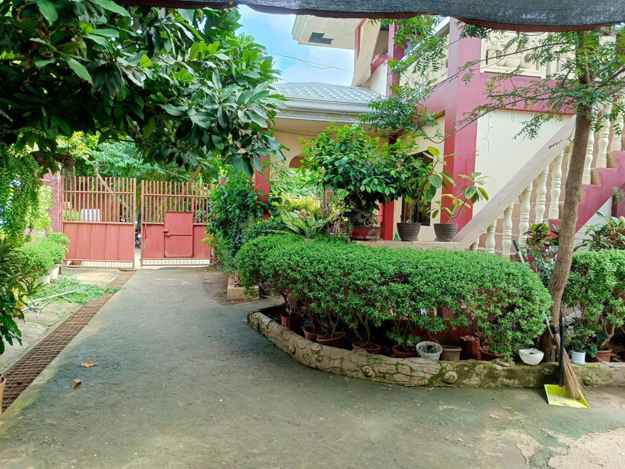 Peace Lily Studio Apartments Panglao Eksteriør billede