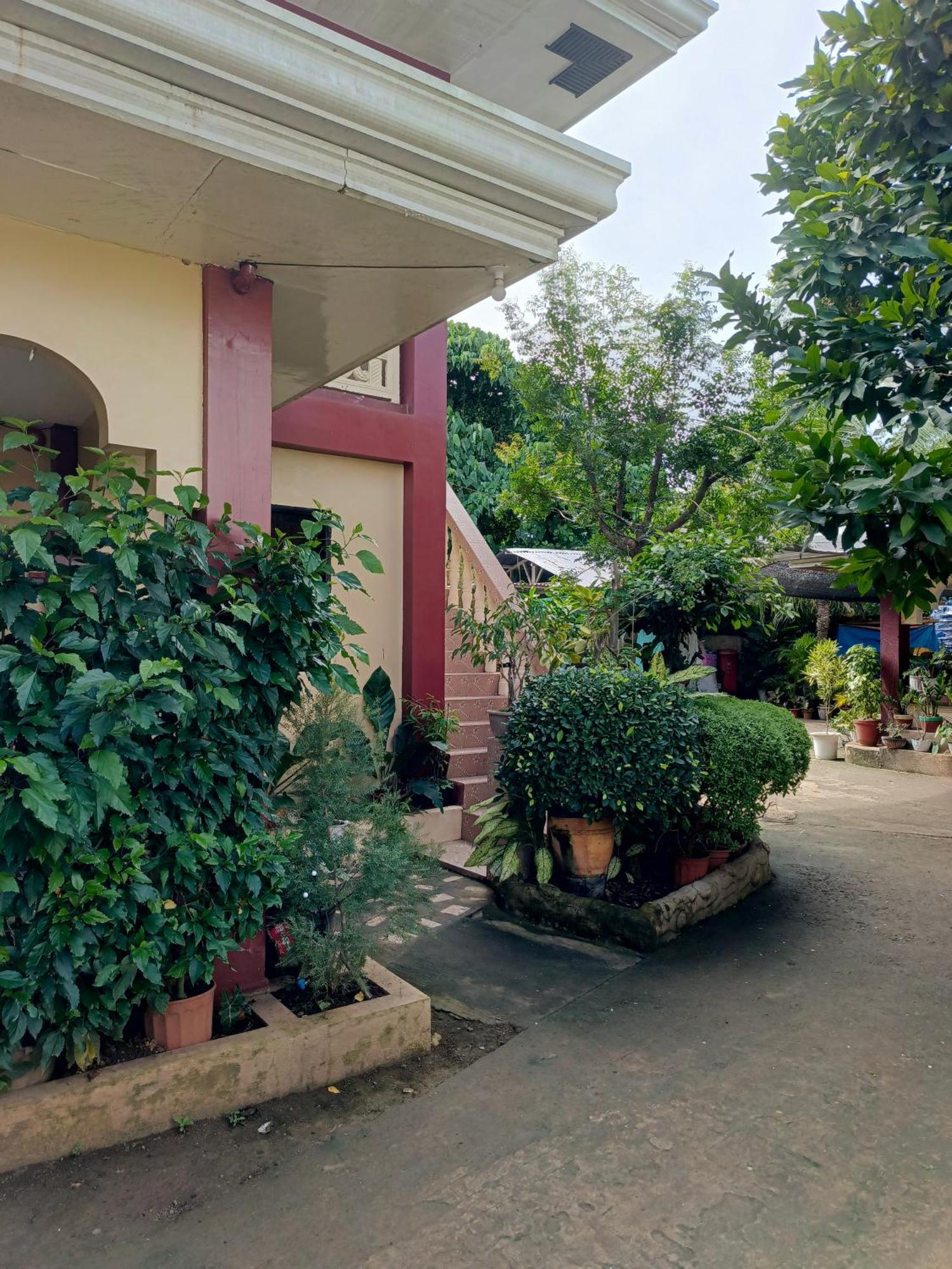 Peace Lily Studio Apartments Panglao Eksteriør billede