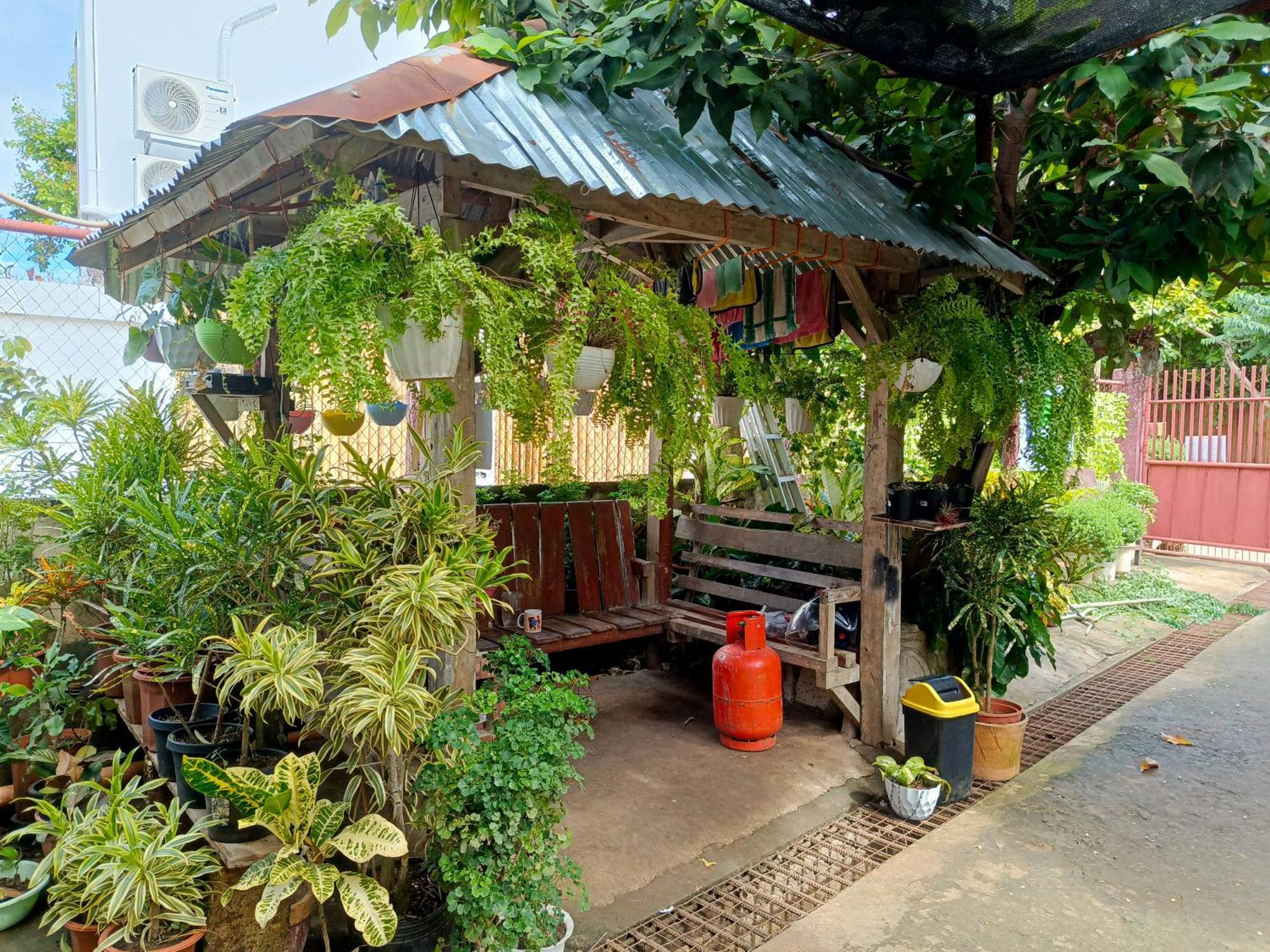 Peace Lily Studio Apartments Panglao Eksteriør billede