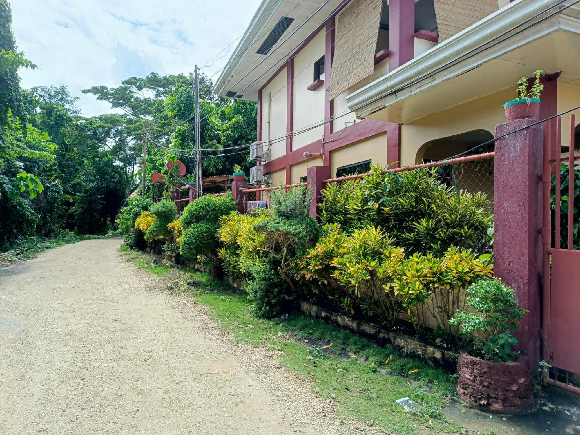 Peace Lily Studio Apartments Panglao Eksteriør billede